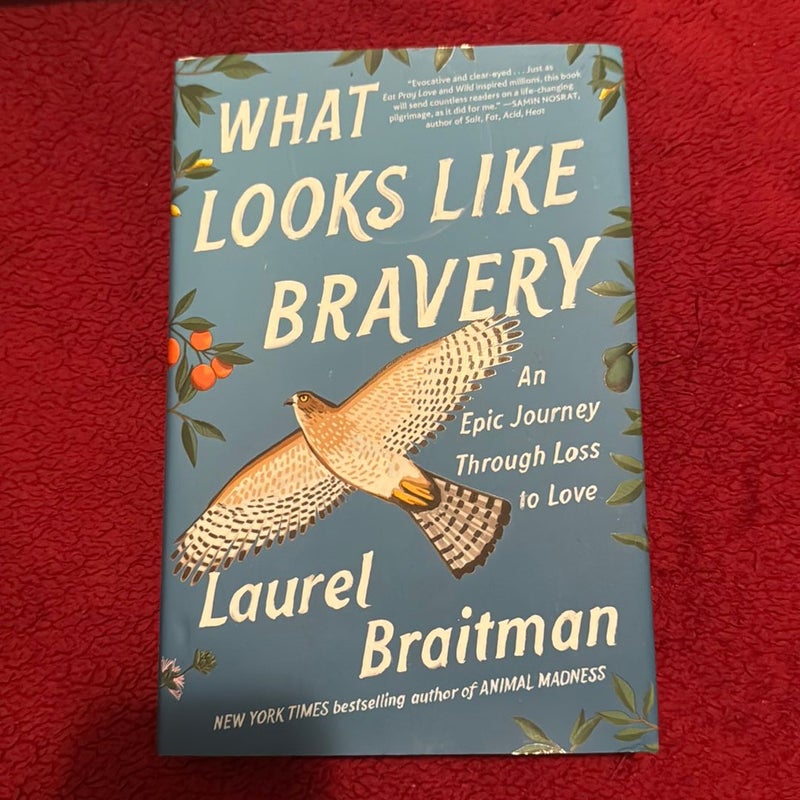 What Looks Like Bravery, Book by Laurel Braitman