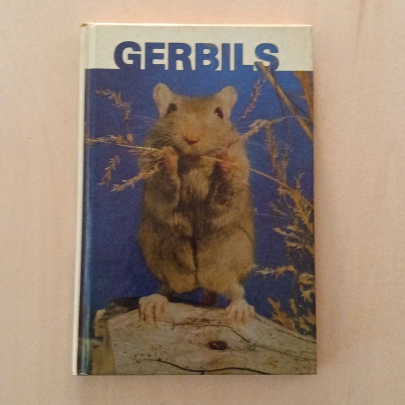 All about Gerbils