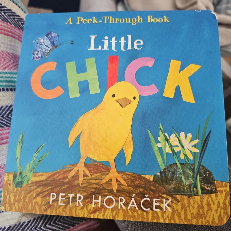 Little Chick