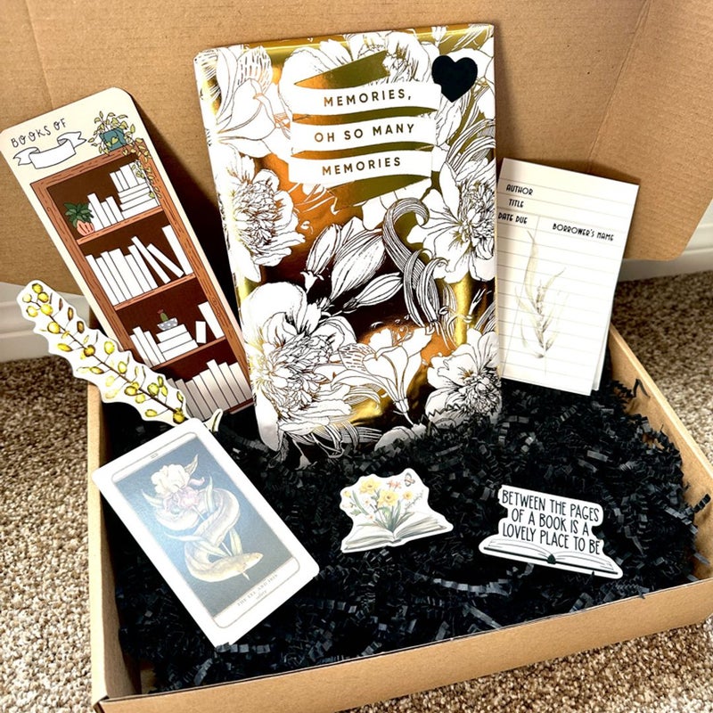 Blind Date With a Book Mystery Gift Box