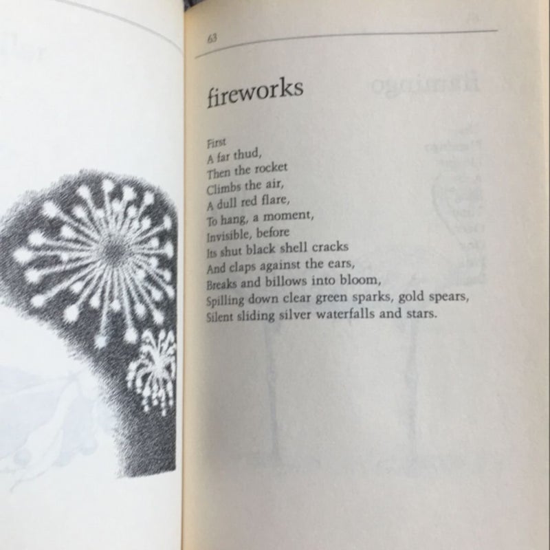 All the Small Poems and Fourteen More