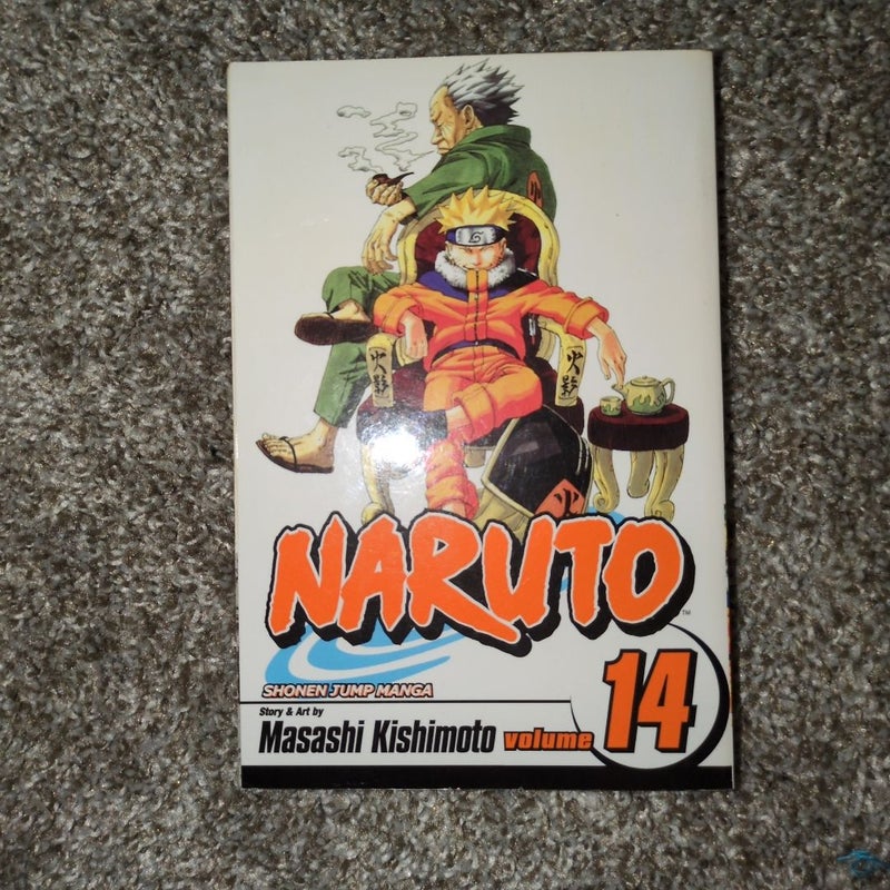 Naruto, Vol. 14