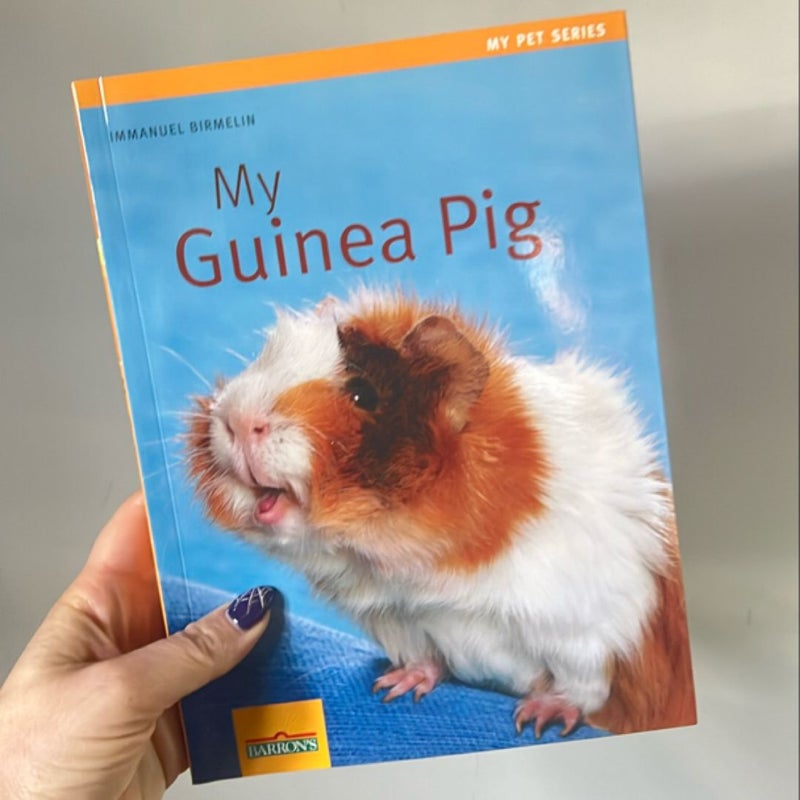 My Guinea Pig