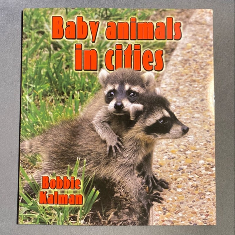 Baby Animals in Cities