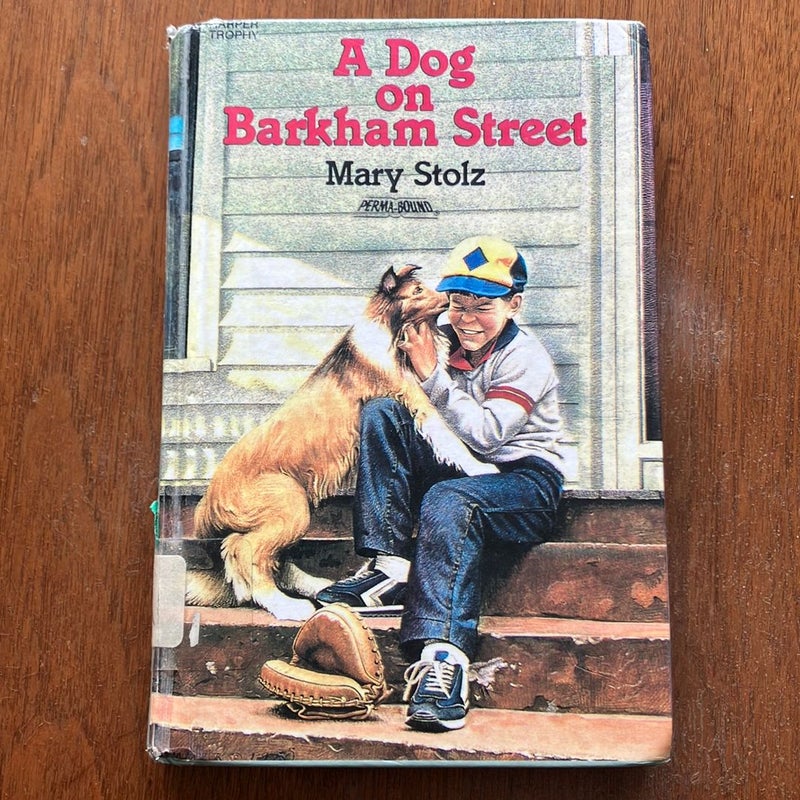 A Dog on Barkham Street