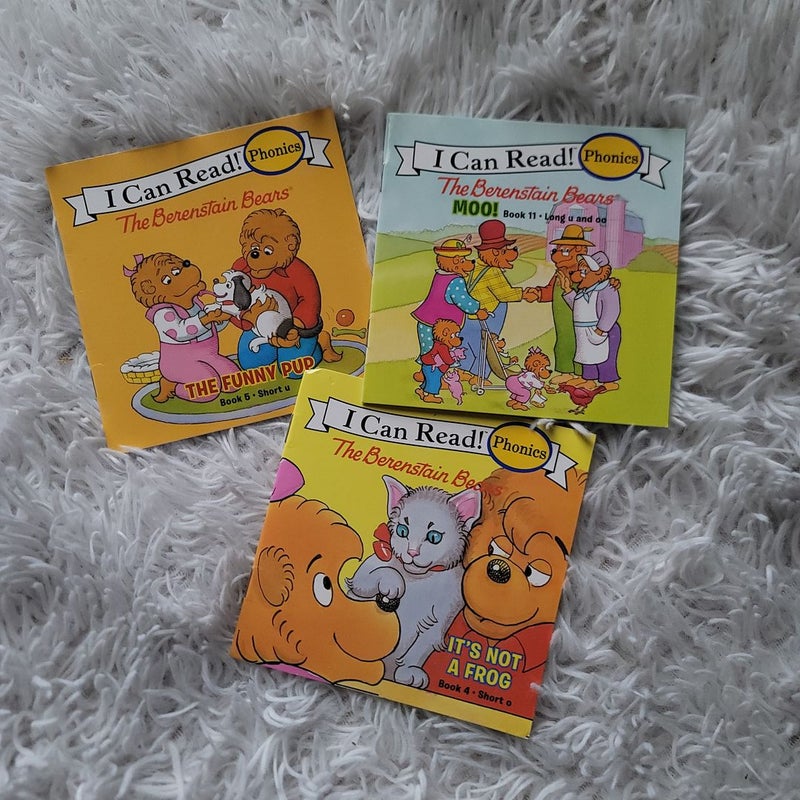 The Berenstain Bears 3 mini book bundle