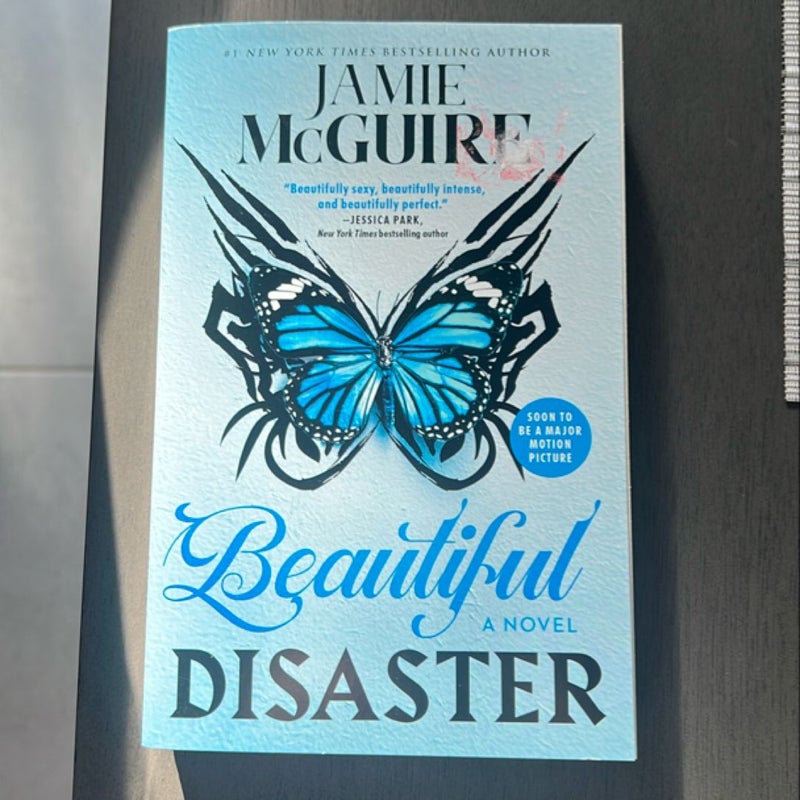 Beautiful Disaster