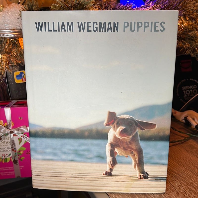 William Wegman Puppies