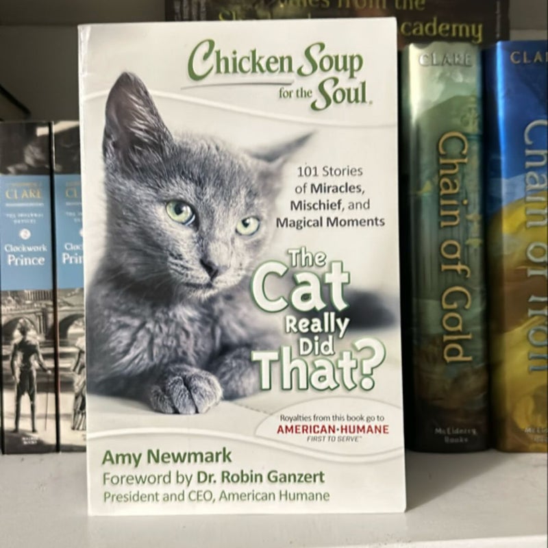 Chicken Soup for the Soul: the Cat Really Did That?