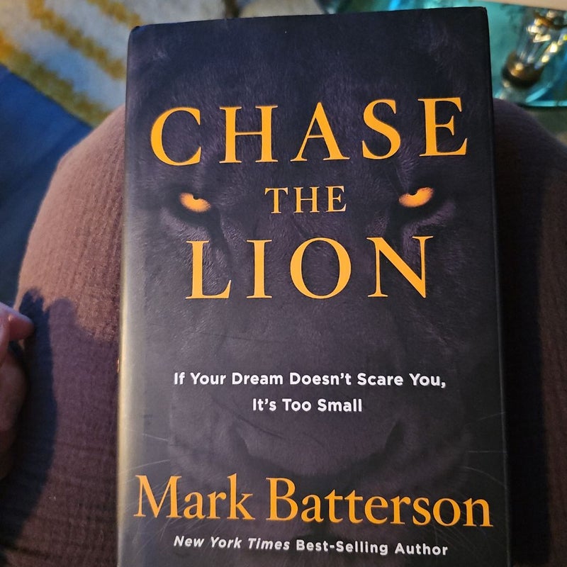 Chase the Lion