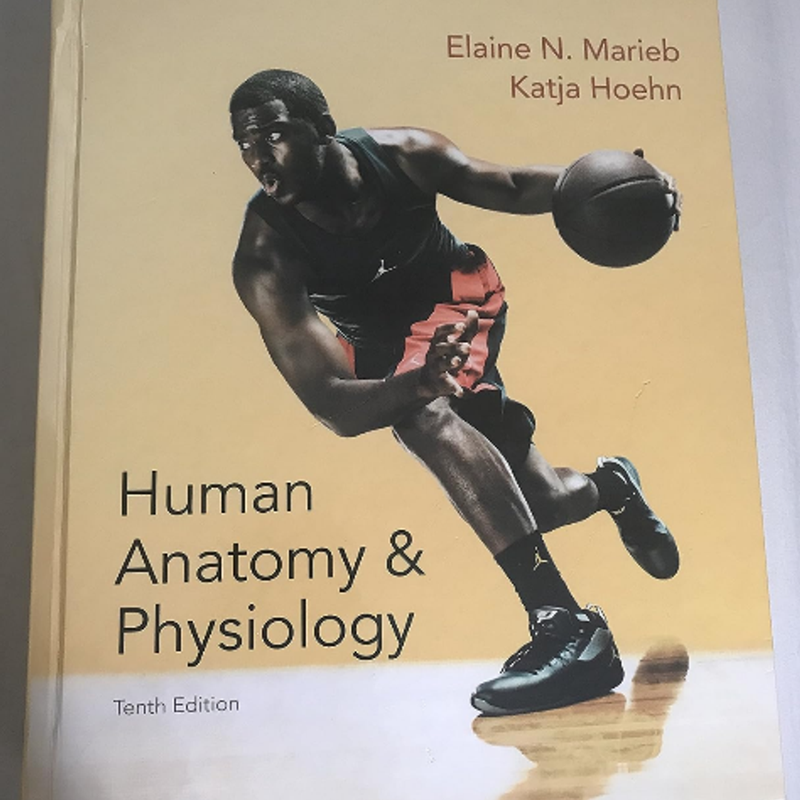 Human Anatomy and Physiology