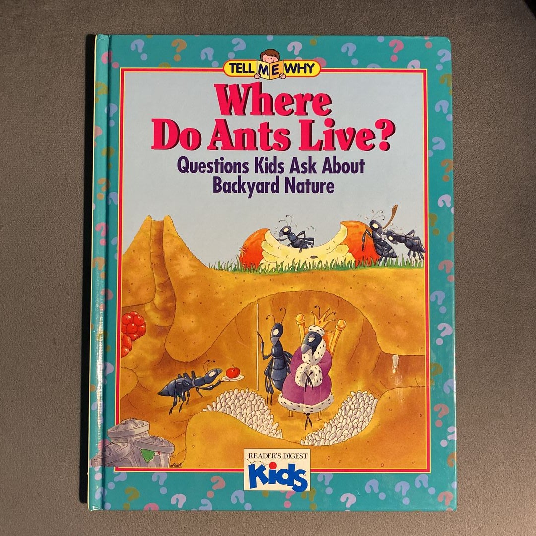 Where Do Ants Live?