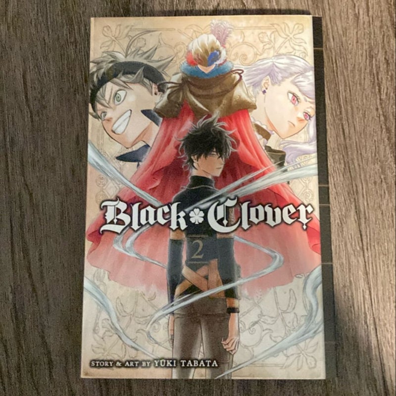 Black Clover, Vol. 2