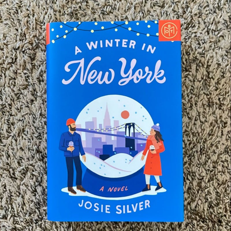 A Winter in New York