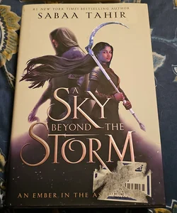 A Sky Beyond the Storm