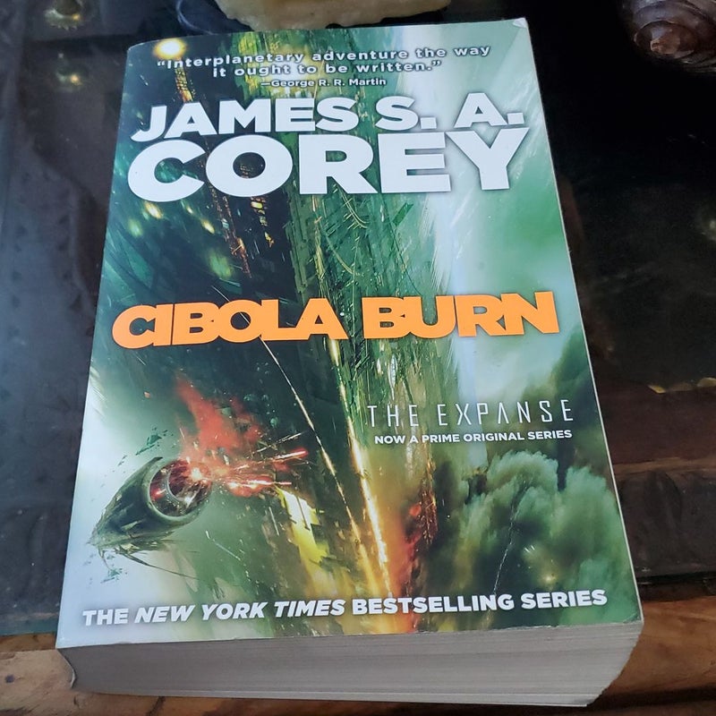 Cibola Burn