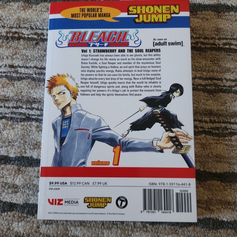 Bleach, Vol. 1