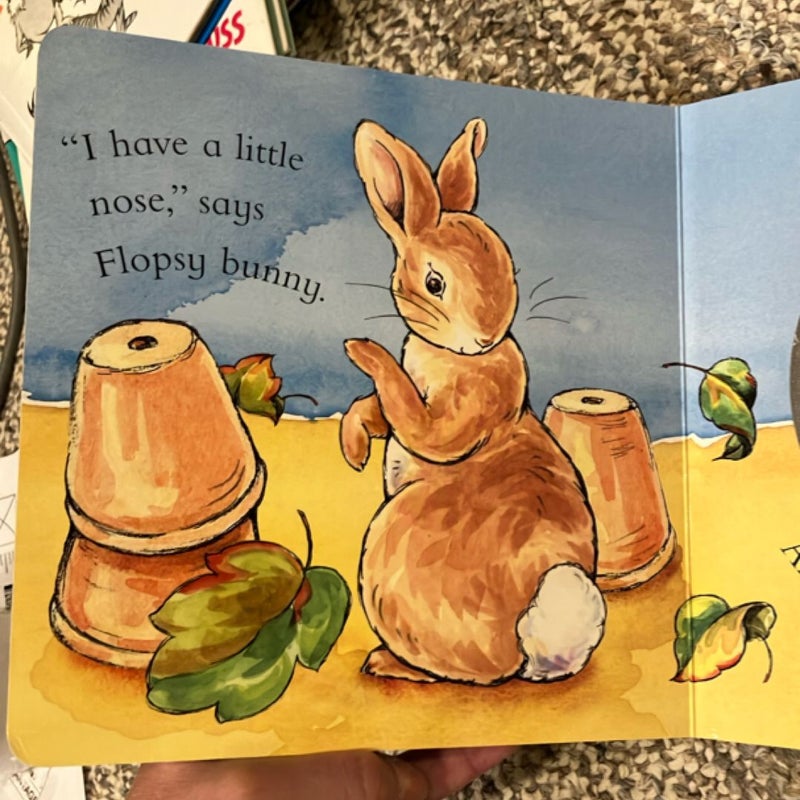 Whose Tail, Peter Rabbit?