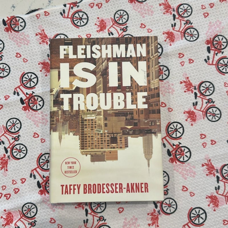 Fleishman Is in Trouble