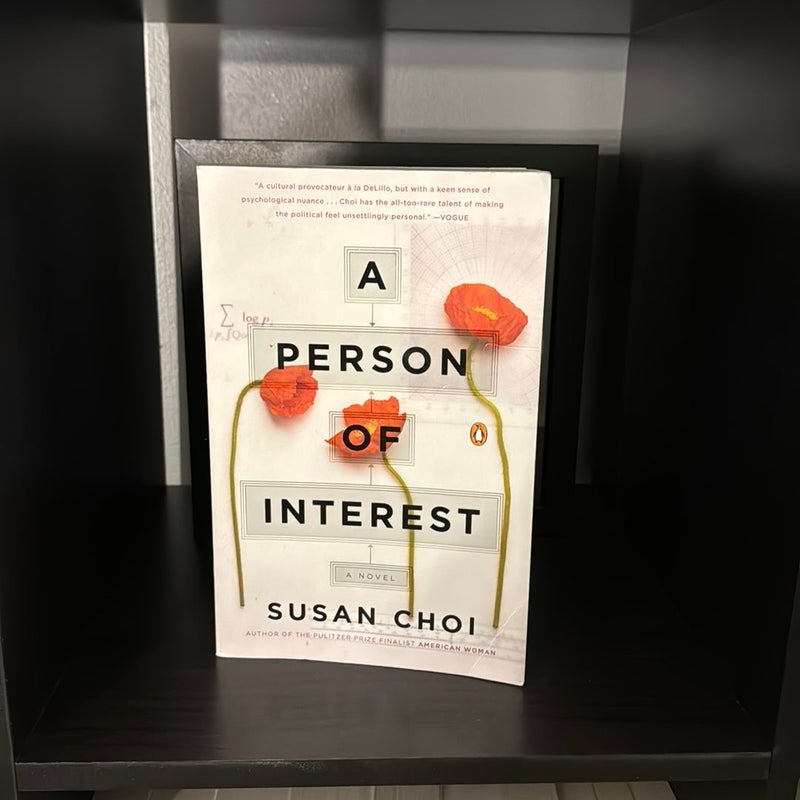 A Person of Interest