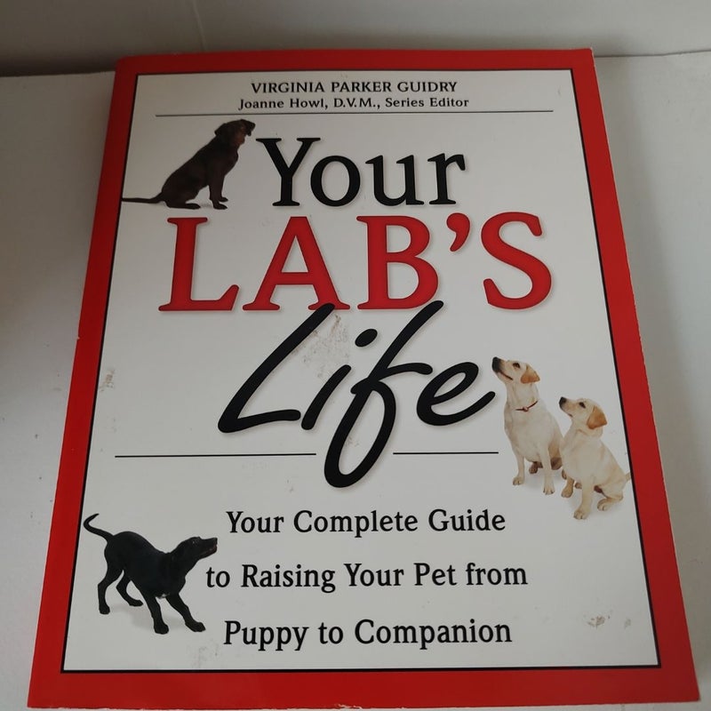 Your Lab's Life