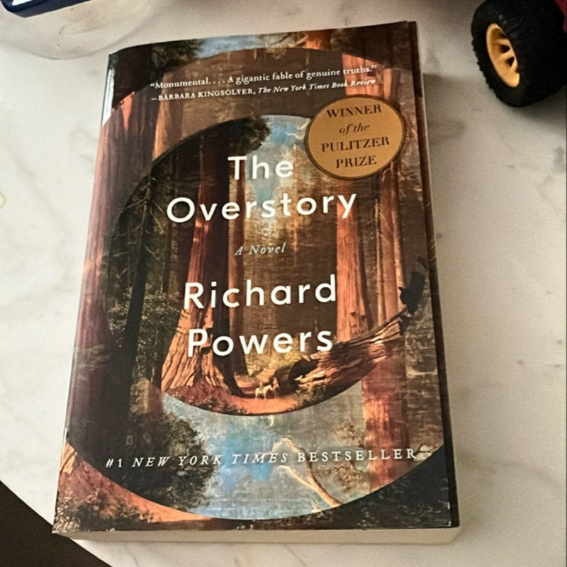 The Overstory