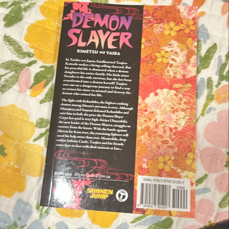 Demon Slayer: Kimetsu No Yaiba, Vol. 21