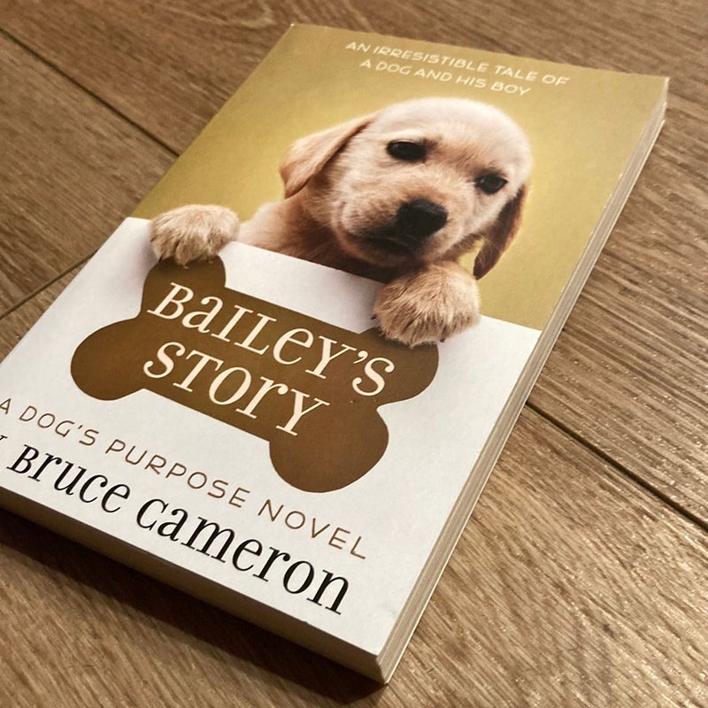Baileys Story