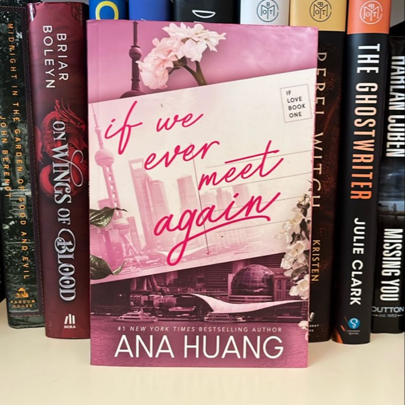 If We Ever Meet Again