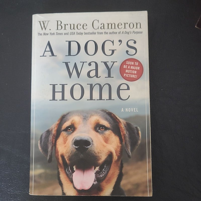 A Dog's Way Home