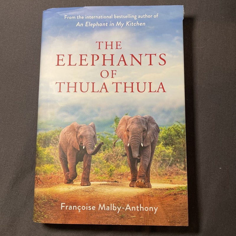 The Elephants of Thula Thula