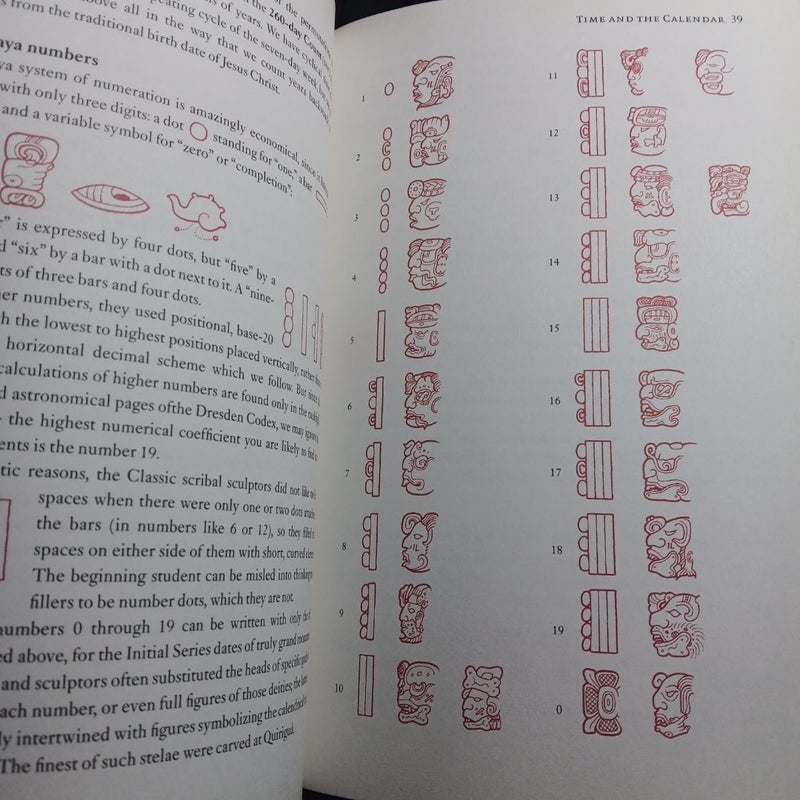 Reading the Maya Glyphs