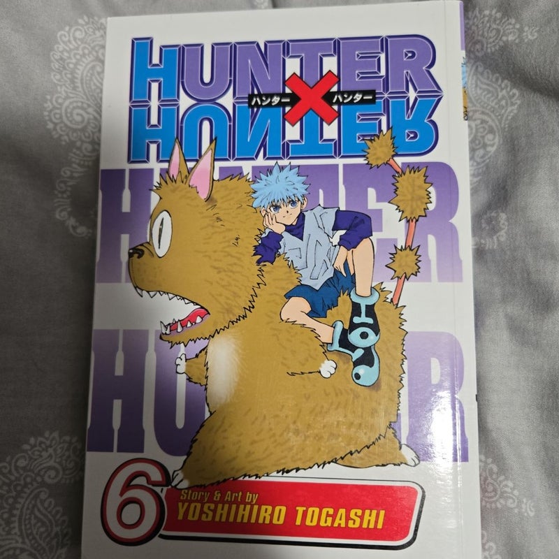 Hunter X Hunter, Vol. 6