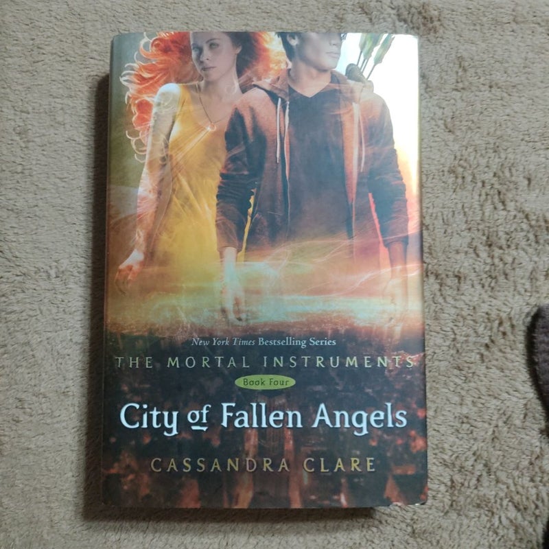 City of Fallen Angels