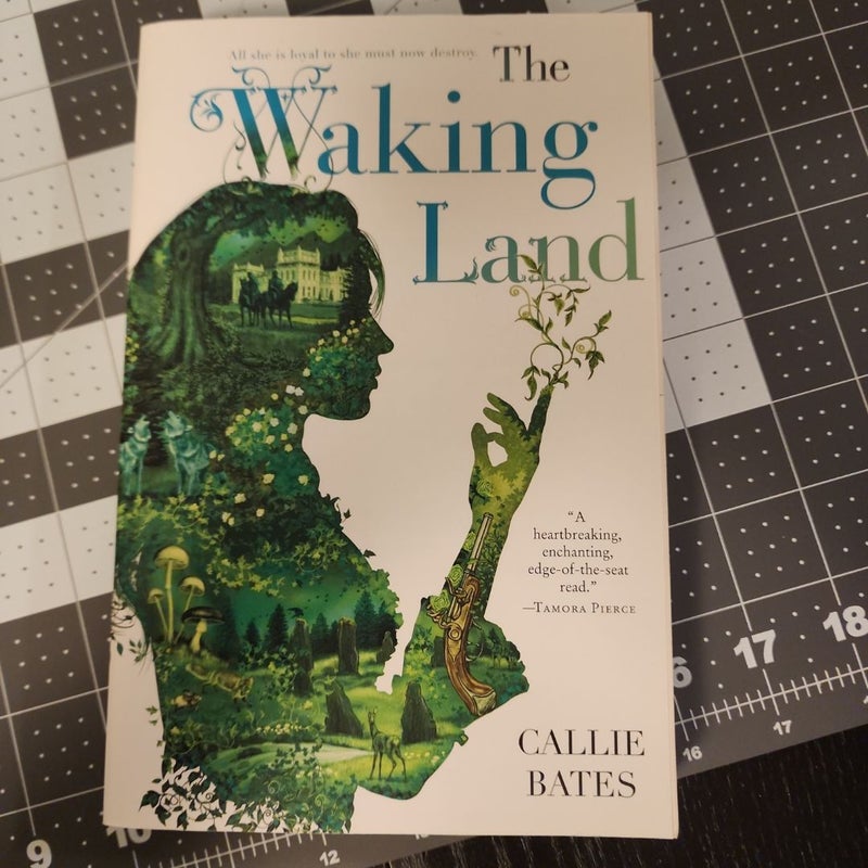 The Waking Land