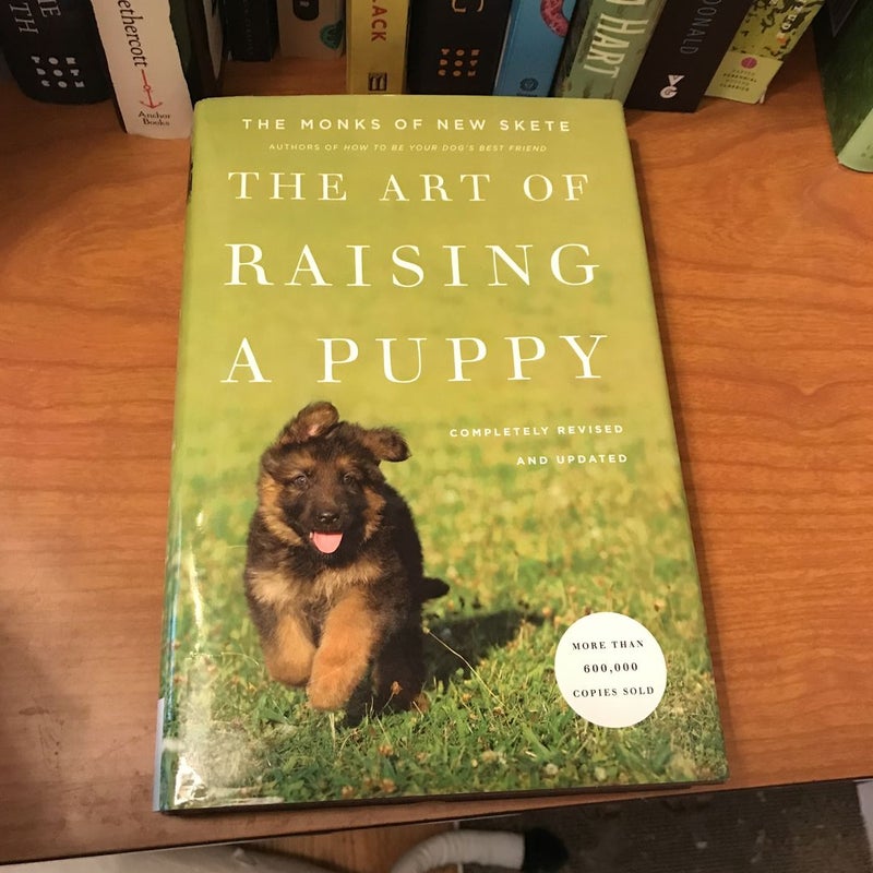 The art of 2024 raising a puppy