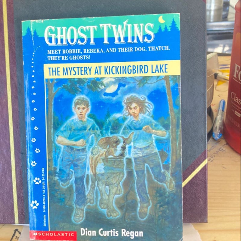 Ghost Twins (VINTAGE 1994)