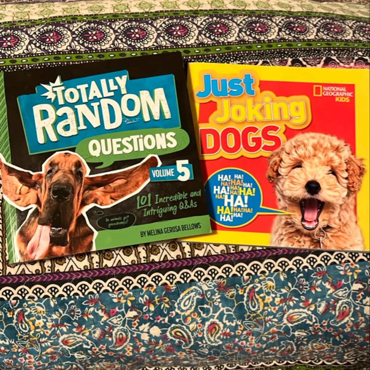 Totally Random Questions Volume 5 by Melina Gerosa Bellows
