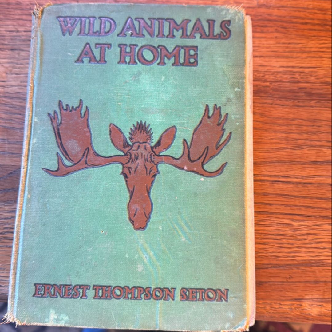 Wild Animals at Home