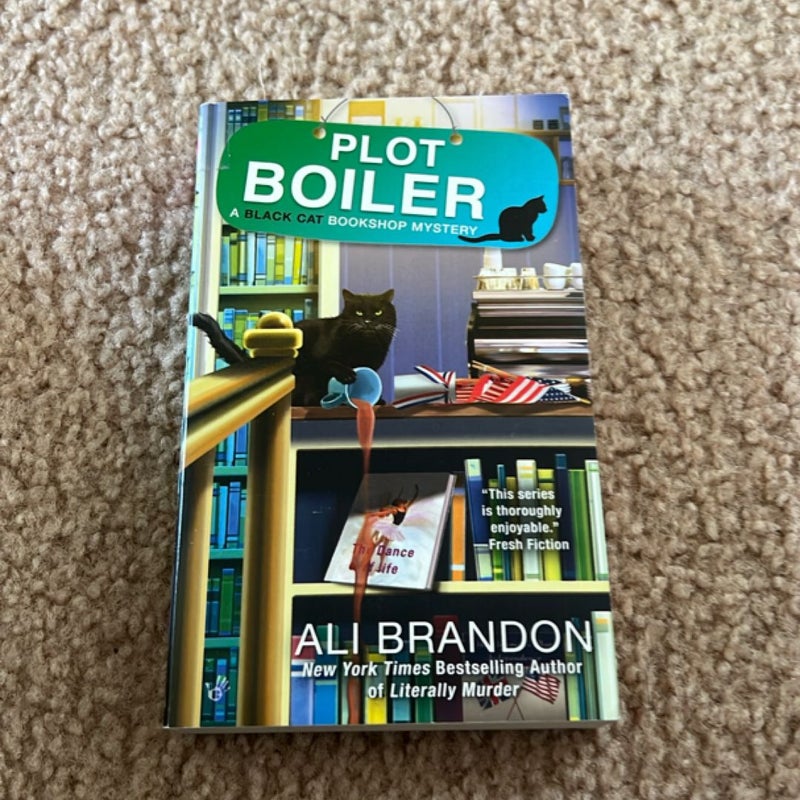 Plot Boiler