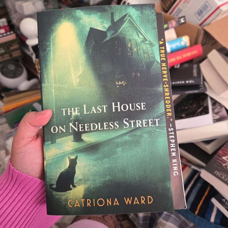 The Last House on Needless Street