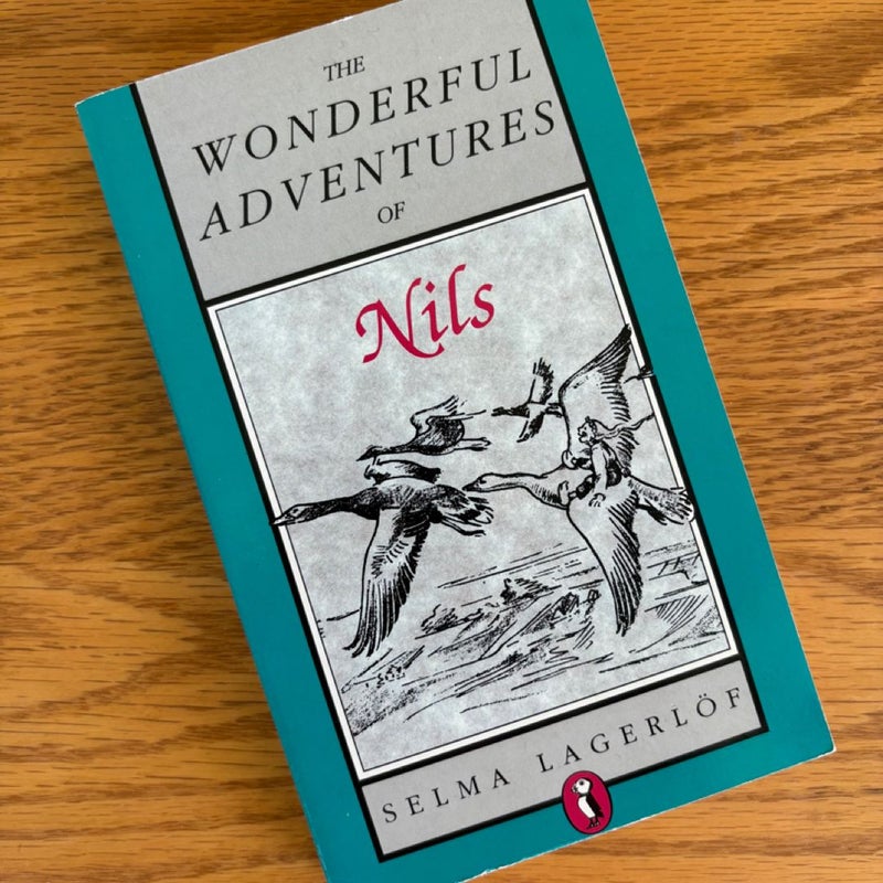 The Wonderful Adventures of Nils