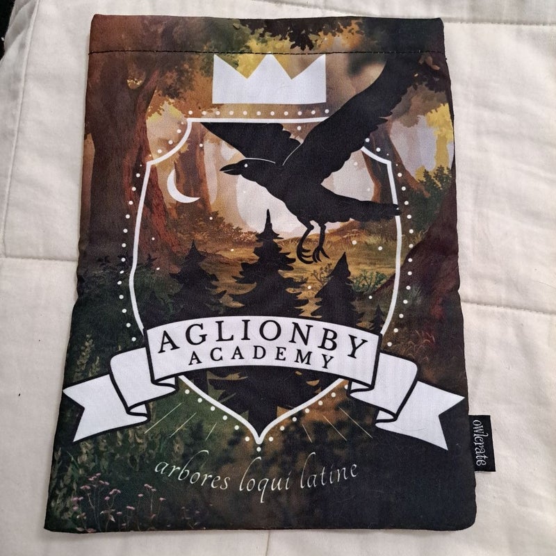 Owlcrate The Raven Boys Book Sleeve