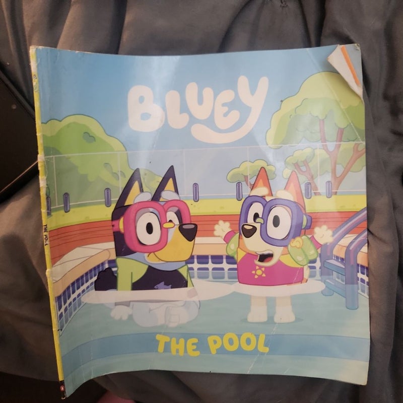 Bluey: the Pool