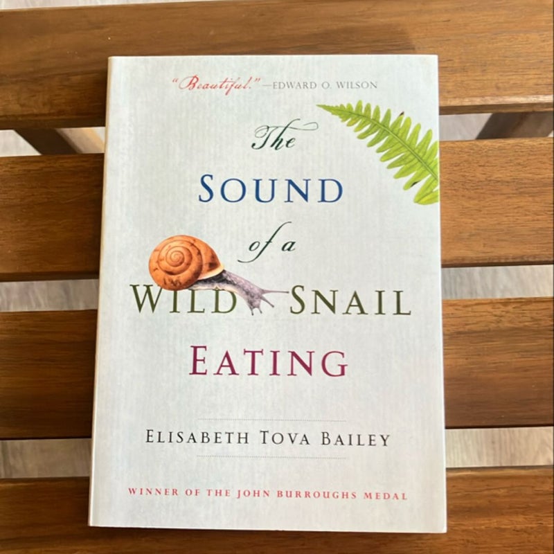 The Sound of a Wild Snail Eating