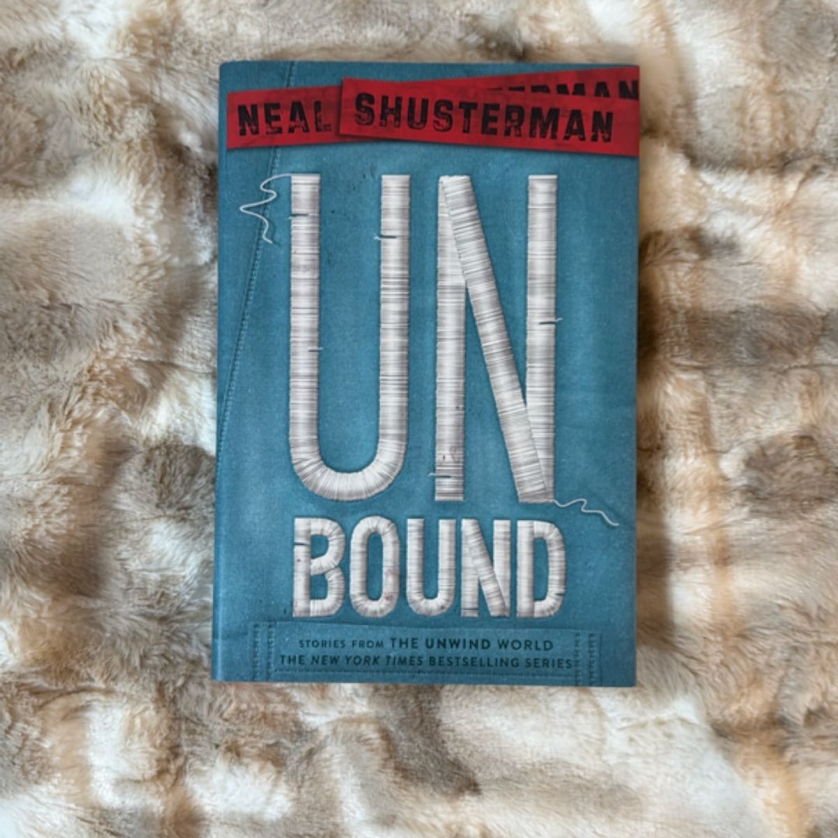 UnBound by Neal Shusterman