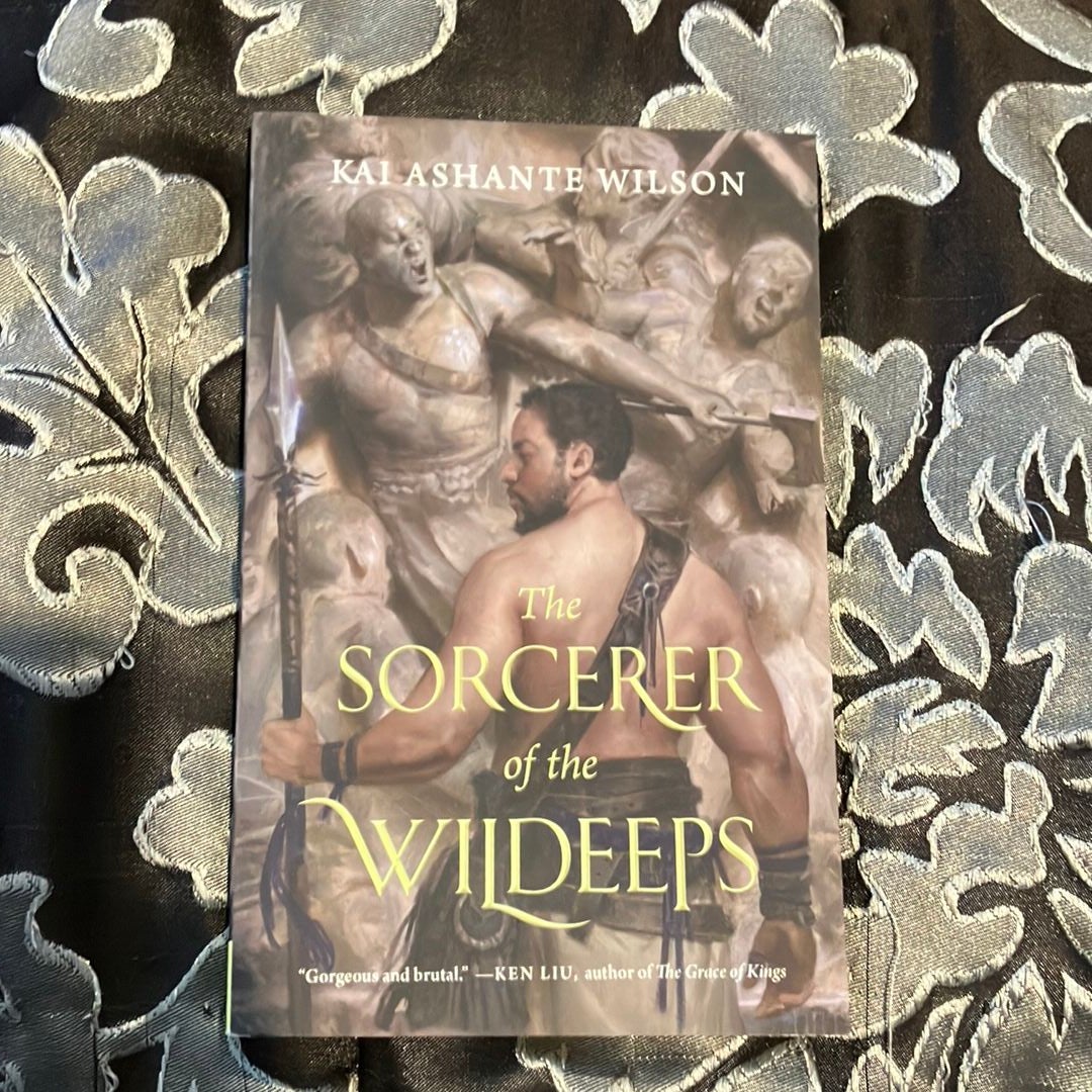 The Sorcerer of the Wildeeps