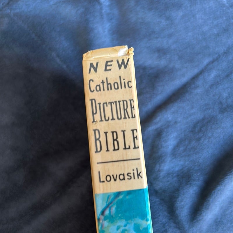 Catholic picture Bible 