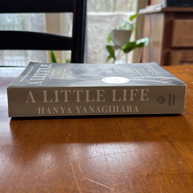 A Little Life