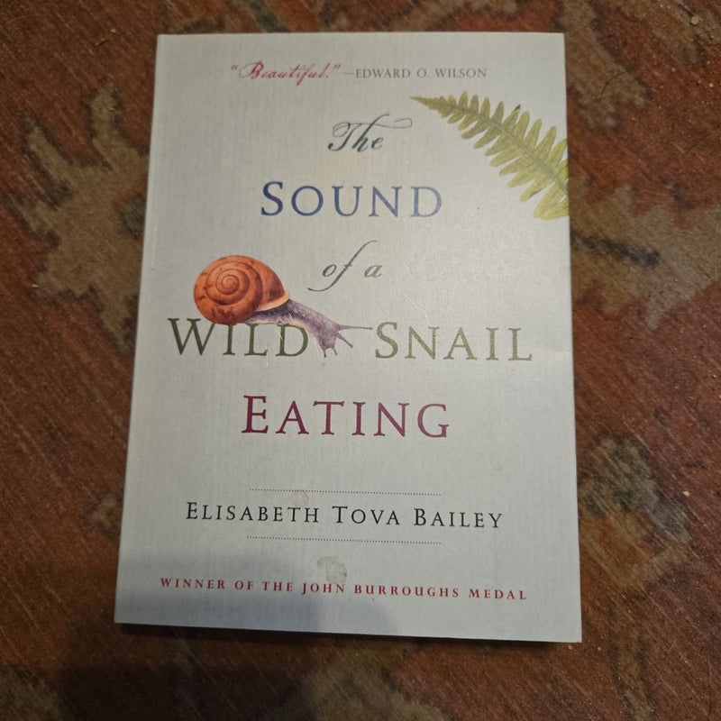 The Sound of a Wild Snail Eating